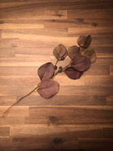 Load image into Gallery viewer, Dark Eucalyptus with berries - DK BRN
