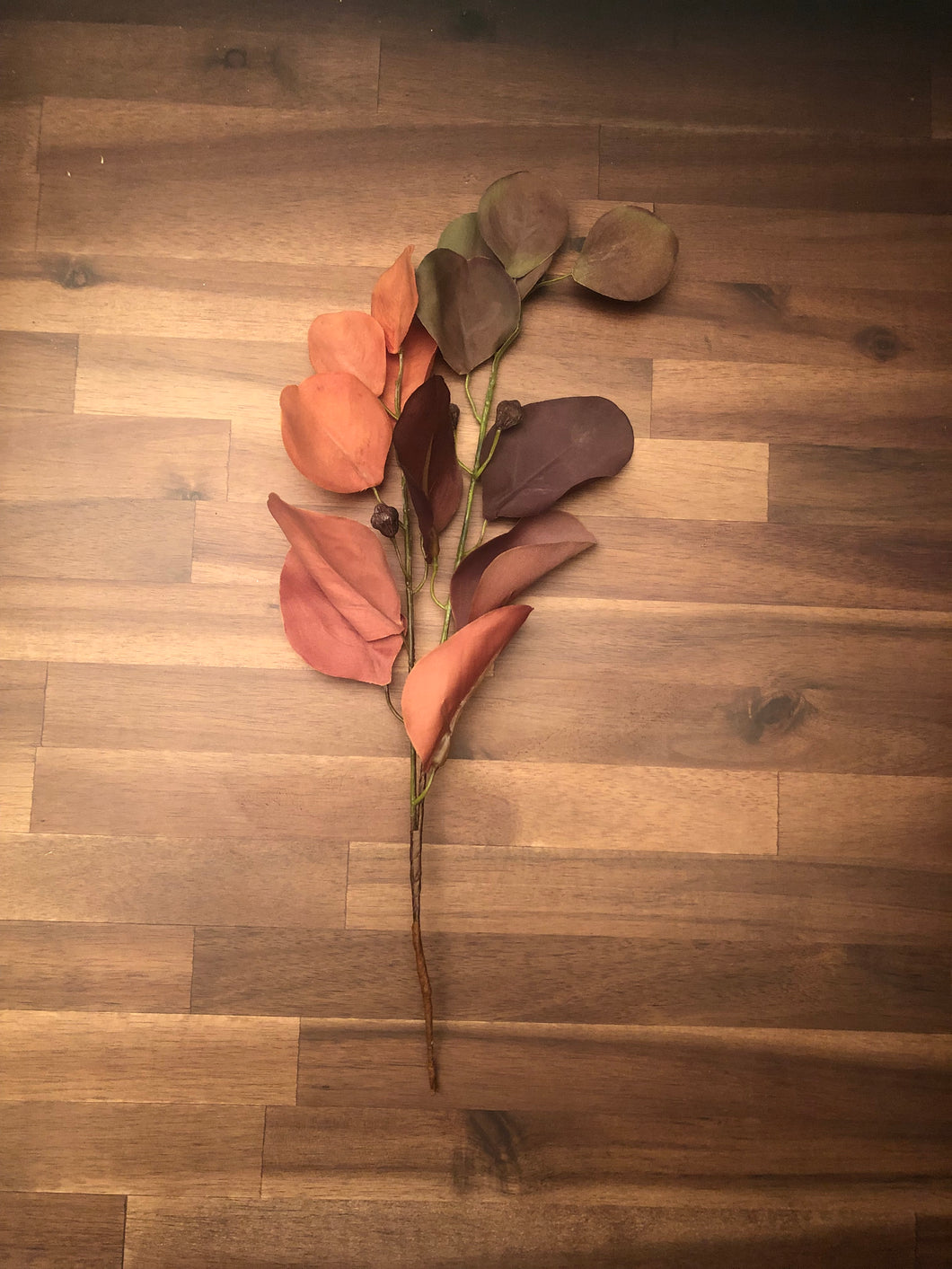 Two-Tone Eucalyptus leaves with berries - BRN