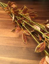 Load image into Gallery viewer, 52&quot; Leaf Spray - Brown
