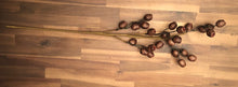 Load image into Gallery viewer, 26&quot; Dark Brown Berry Pod Spray
