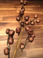 Load image into Gallery viewer, 26&quot; Dark Brown Berry Pod Spray
