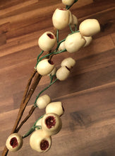 Load image into Gallery viewer, 26&quot; Cream Berry Pod Spray

