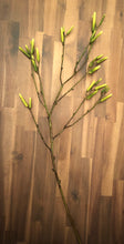 Load image into Gallery viewer, 30&quot;Alder Spray
