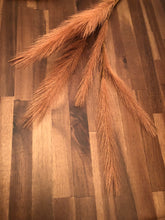 Load image into Gallery viewer, 28&quot; Pampas Grass Spray in Coral
