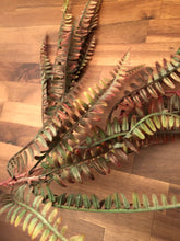 Load image into Gallery viewer, 28&quot; Fern Spray in Green/Brown
