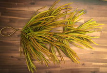 Load image into Gallery viewer, 31&quot; Harvest Paper Pine Swag
