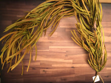 Load image into Gallery viewer, 57&quot; Harvest Paper Pine Garland
