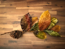 Load image into Gallery viewer, 24&quot; Warm Harvest Magnolia Leave with Pinecone Spray
