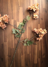 Load image into Gallery viewer, 38&quot; Maple Leaf Cone Hydrangea spray in Rust
